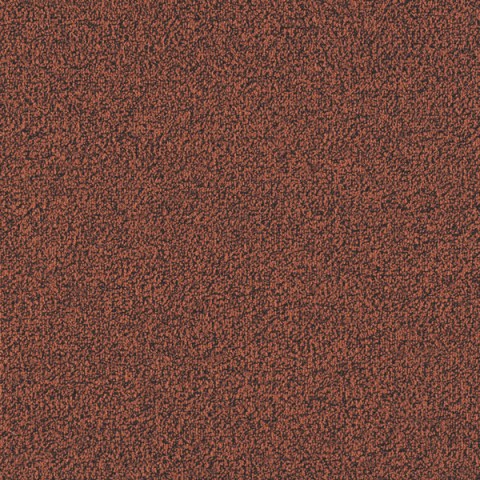 1145-Rock-Coral
