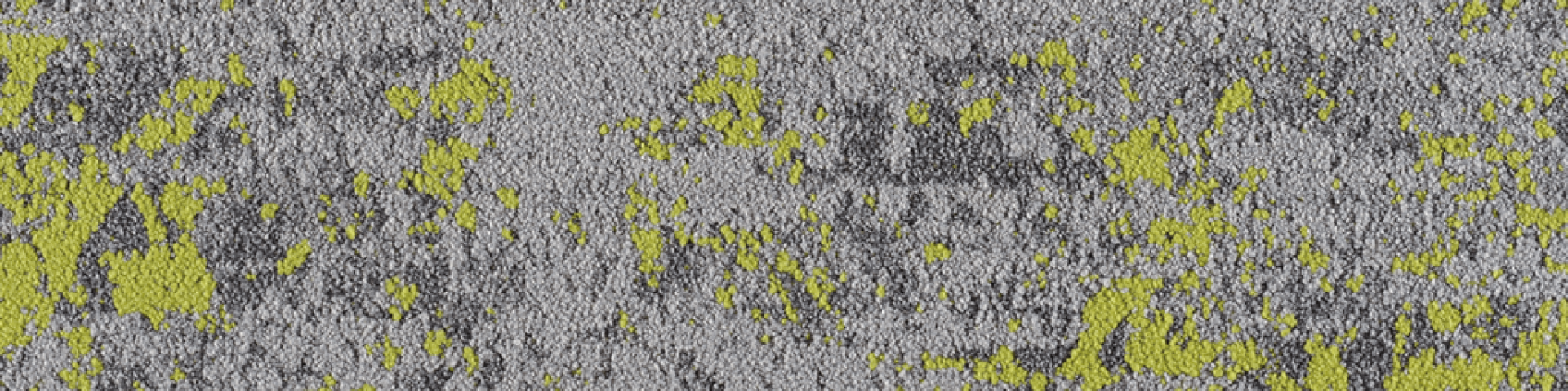 202G-Bliss-Green-1024x256