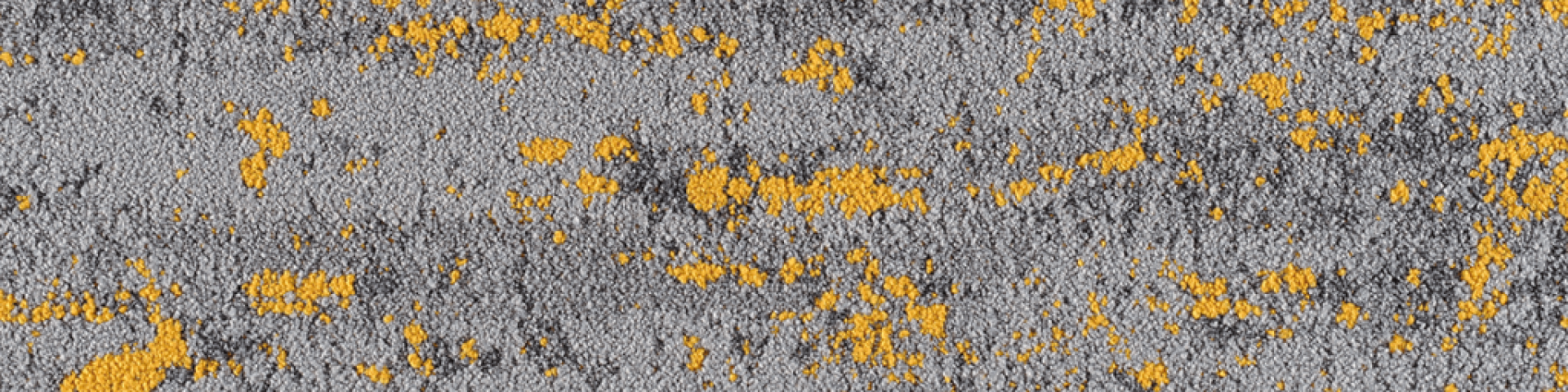 202Y-Bliss-Gold-1024x256
