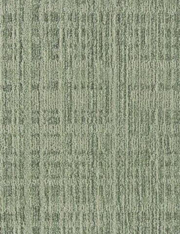 6903-Traders
