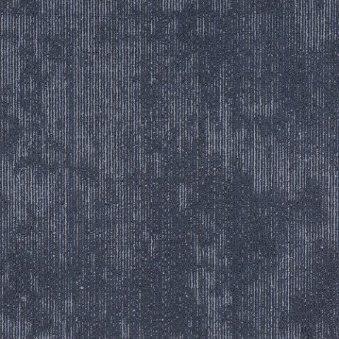 9005-Blue-Jay_WEB