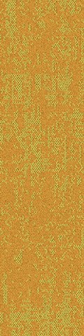 Mandate-11-1156-4-k